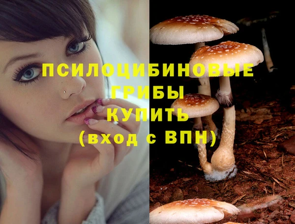 марки lsd Медвежьегорск