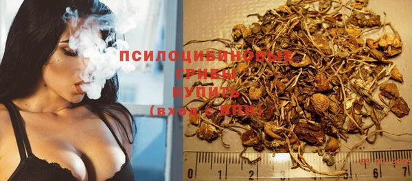 тгк Медногорск