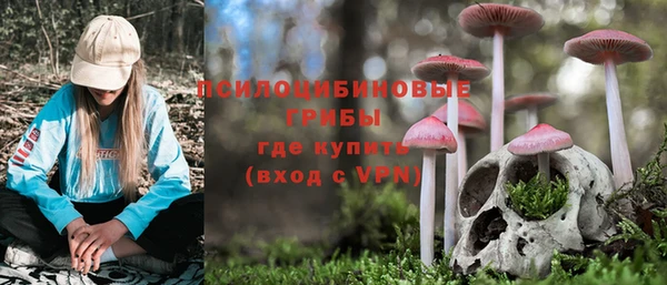 тгк Медногорск