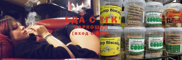 тгк Медногорск